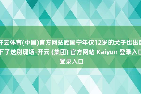 开云体育(中国)官方网站顾国宁年仅12岁的犬子也出目下了送别